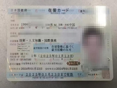 无日语蔬菜包装的工作案例